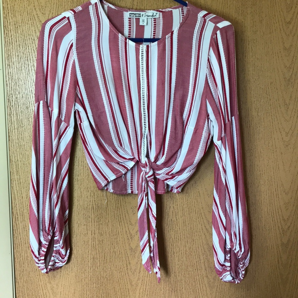 Gypsies and moondust crop top